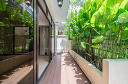 Holland Link (D10), Terrace #503034731